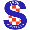 NK Slavija Pleternica
