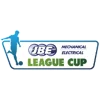 Northern Ireland League Cup