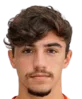 Vincenzo·Alfieri