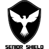 Chinese Hong Kong Senior Challenge Shield