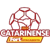 Brazilian Campeonato Catarinense Division 1