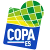Copa Espírito Santo