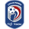 Giải bóng đá Hạng nhất Paraguay