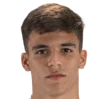 Gabri Veiga