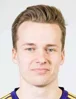 Nikke veikkanen