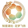 Hubei City Football League